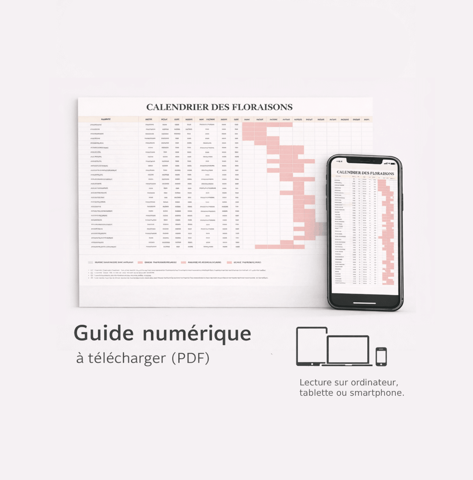 calendrier-floraison-1