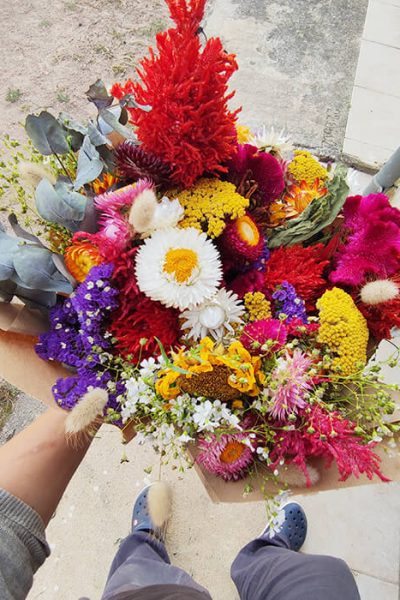 Bouquet de fleurs séchées XXL - Dinah - BOUQUET FLEURS SÉCHÉES