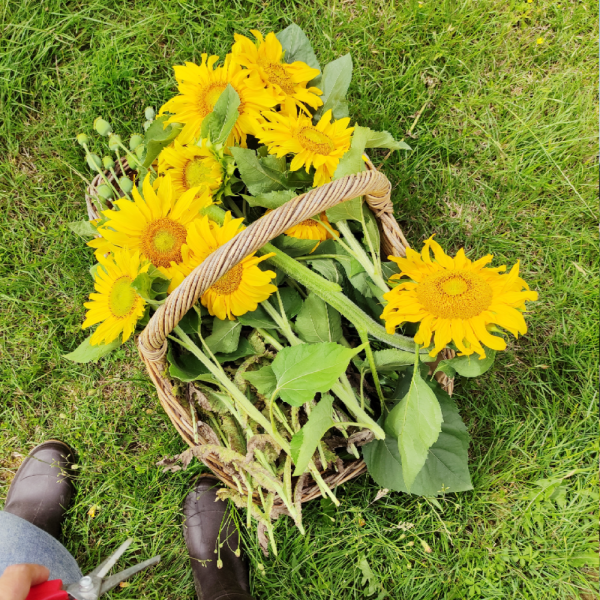 IMG_20210604_151913 (2)