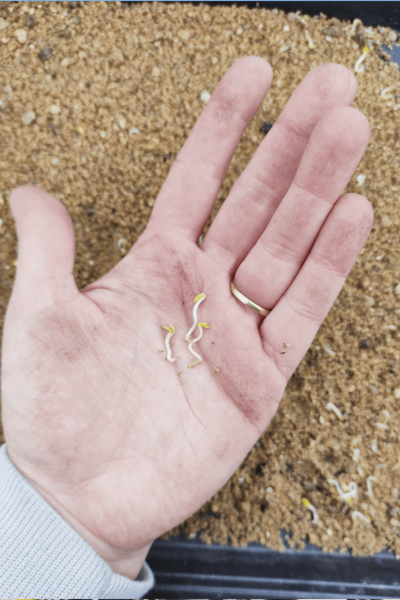 IMG_20210604_151913 (5)