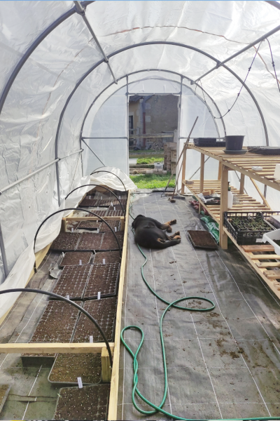 IMG_20210604_151913 (7)