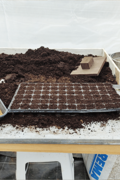 IMG_20210604_152910 (2)