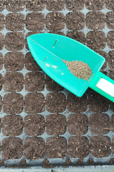 IMG_20210604_152910 (3)