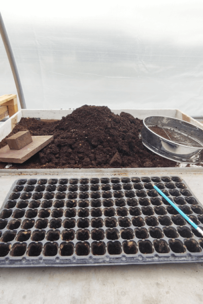 IMG_20210604_152910 (4)