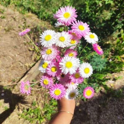 IMG_20220614_160815 (1)