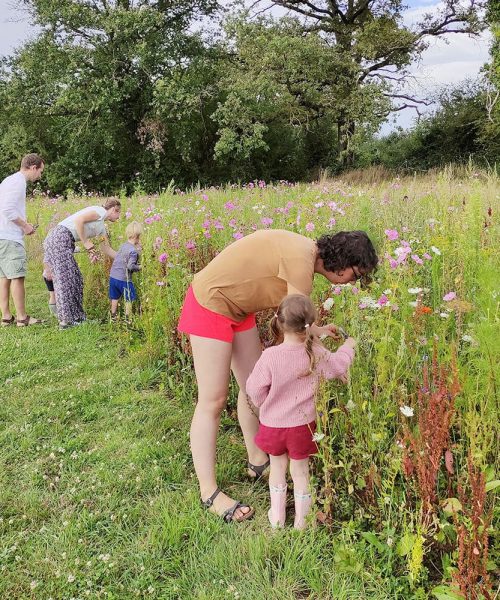 JARDIN (1) JARDIN (1)
