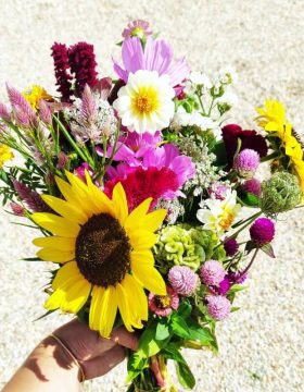 Abonnement Bouquet Fleurs Locales - FERME FLORALE PONOIE
