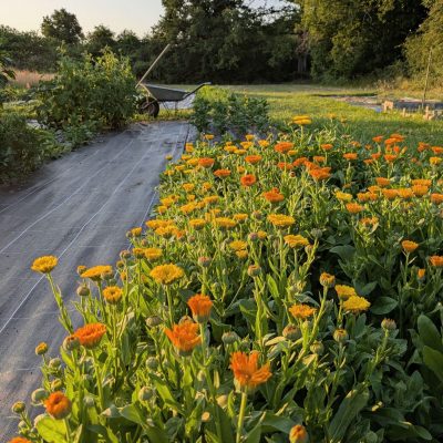 PXL_20250619_190520308 (1)