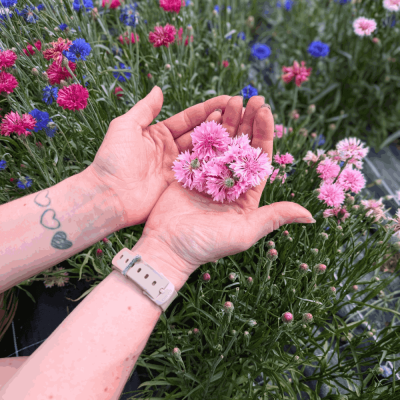 PXL_20250626_144716526~2 (1)