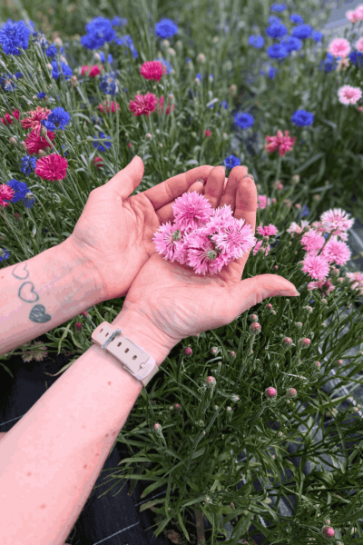 PXL_20250626_144716526~2 (1)