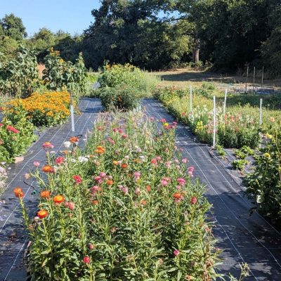 PXL_20250709_082420753.MP~2 (1)