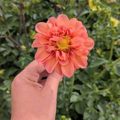 PXL_20250722_085651319 (1)