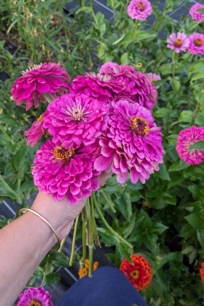 PXL_20250812_190355033 (1)