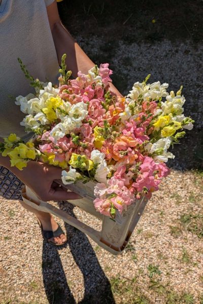 PXL_20250823_100114009 (1) (1)