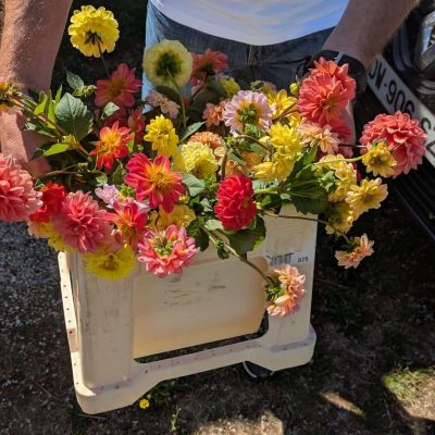 PXL_20250823_100116146 (1)