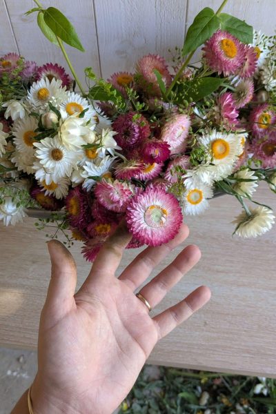 PXL_20250824_131353026 (1) (1)