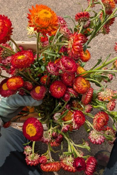 PXL_20250916_095114085 (1)