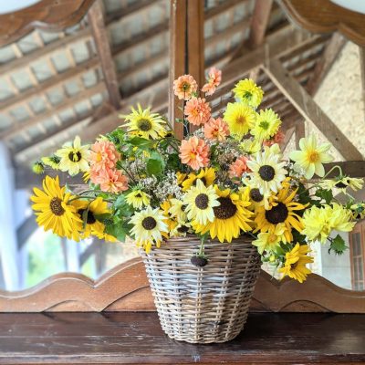 PXL_20250926_154256994~2 (1) (1)