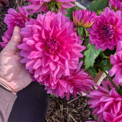 PXL_20251030_133900201 (1)