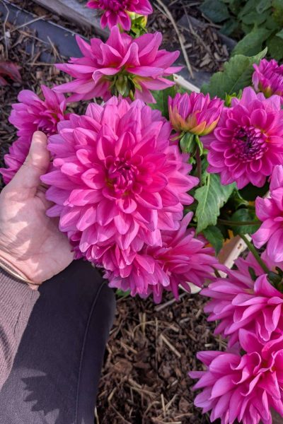 PXL_20251030_133900201 (1)