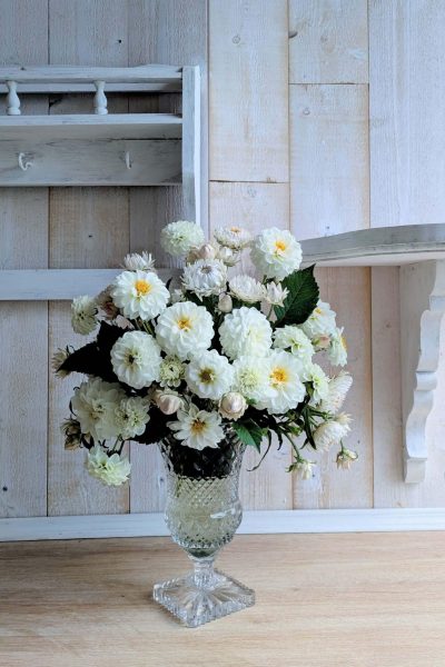 PXL_20251107_154036618.MP~2 (1)