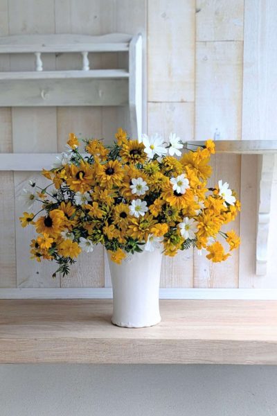 PXL_20251116_141527037.PORTRAIT~2 (1)