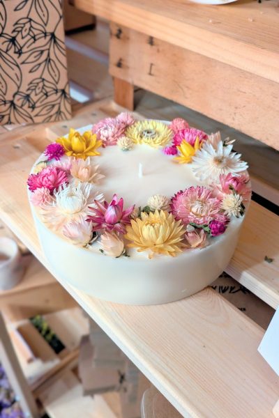 PXL_20260220_145005880~2