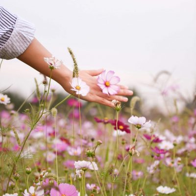 Photo by Suhyeon Choi on Unsplash (1)