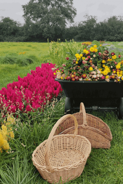 atelier-enfant-jardin-1