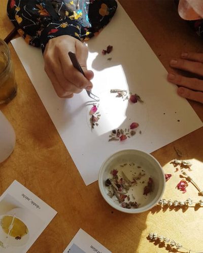 Fleurs de Chrysanthème - Réalisez vos bougie DIY - Fleurs bougie fleurie