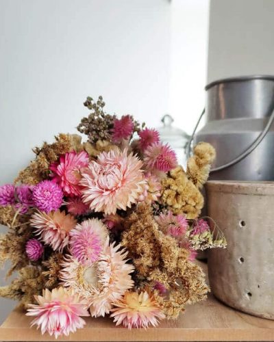 Bouquet de fleurs séchées - Célosie & Gomphrena- FLEURS SÉCHÉES