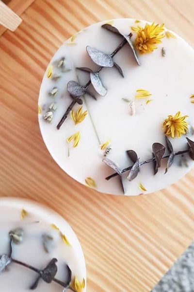 Eucalyptus stabilisé - Réalisez vos bougie DIY - Fleurs pour bougie fleurie