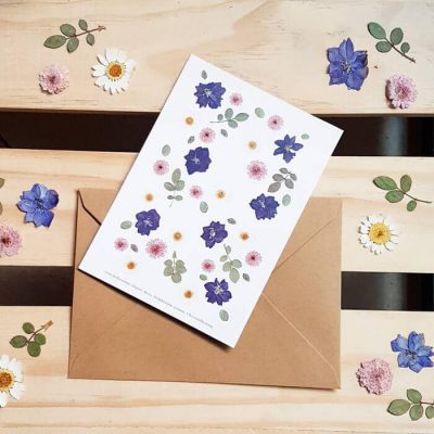 Carte postale Delphinium, marguerite, rose - Carte fleurs séchées PARIS
