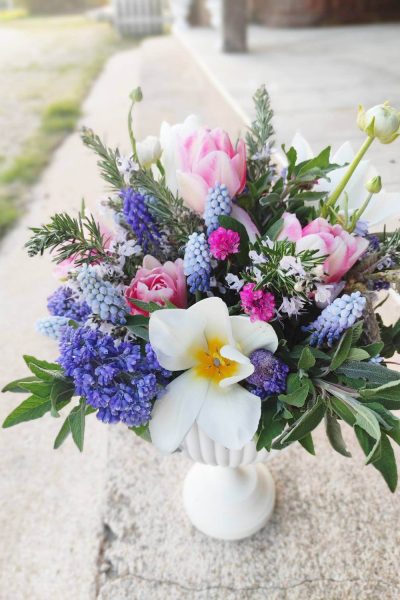 coupe-printemps-1 (1)