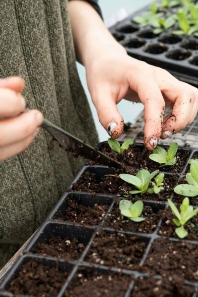 zoe-schaeffer-H0iAXFekiWo-unsplash (1)