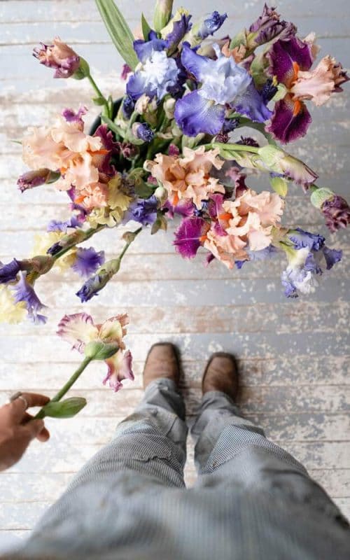 zoe-schaeffer-v_rdjs0XBtA-unsplash (1) zoe-schaeffer-v_rdjs0XBtA-unsplash (1)